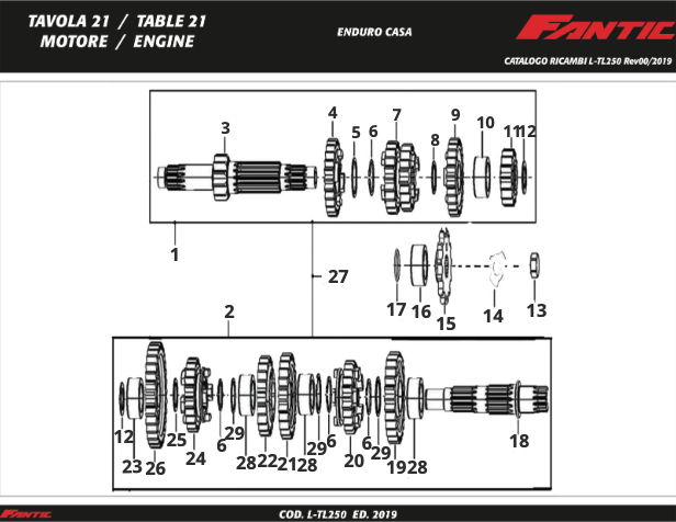 ONhjEJTCUM_21 - Moteur (TL250 UK - Enduro Casa - MY2019).png